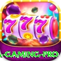3aa - Gaming Pro